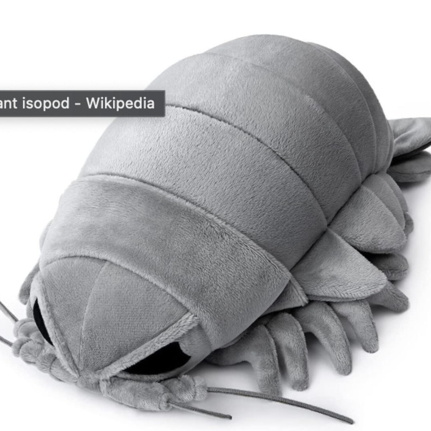 Friday, March 8, 2024 - Yup, definitely a Friday crossword!