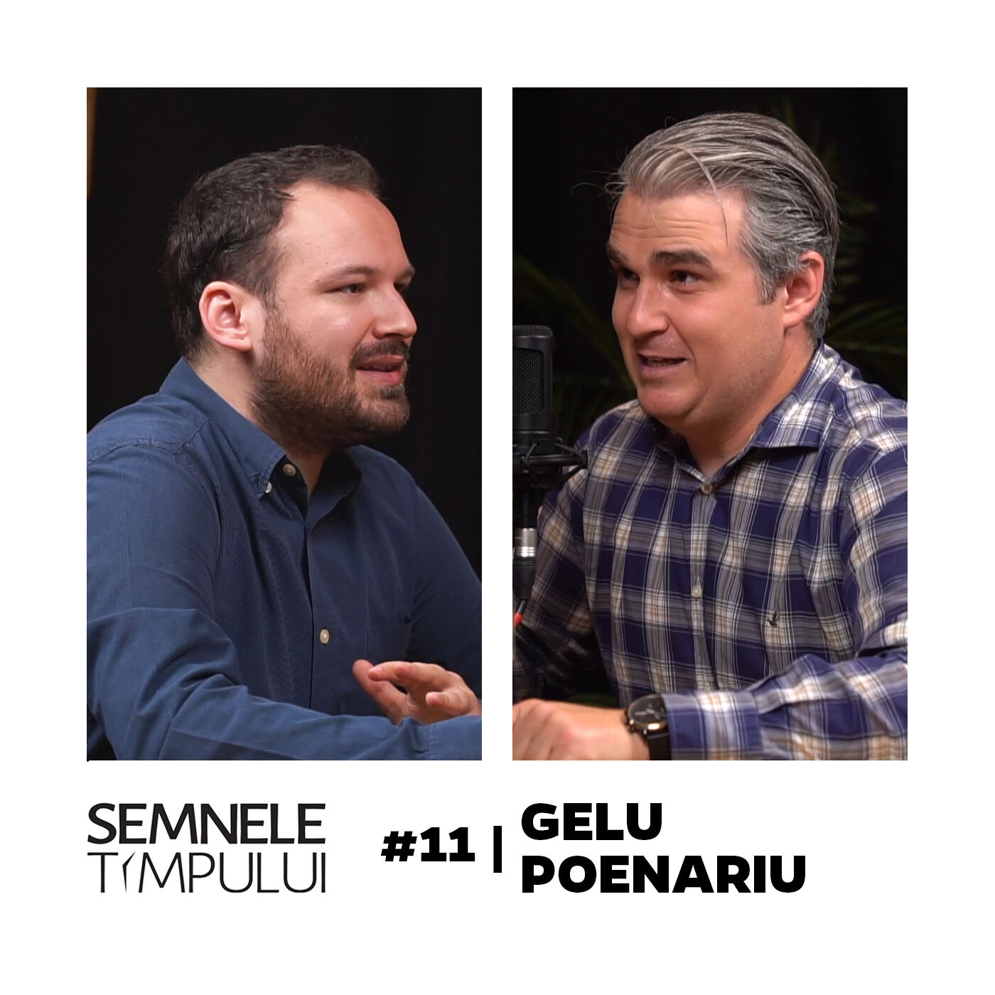 Podcast Semnele Timpului