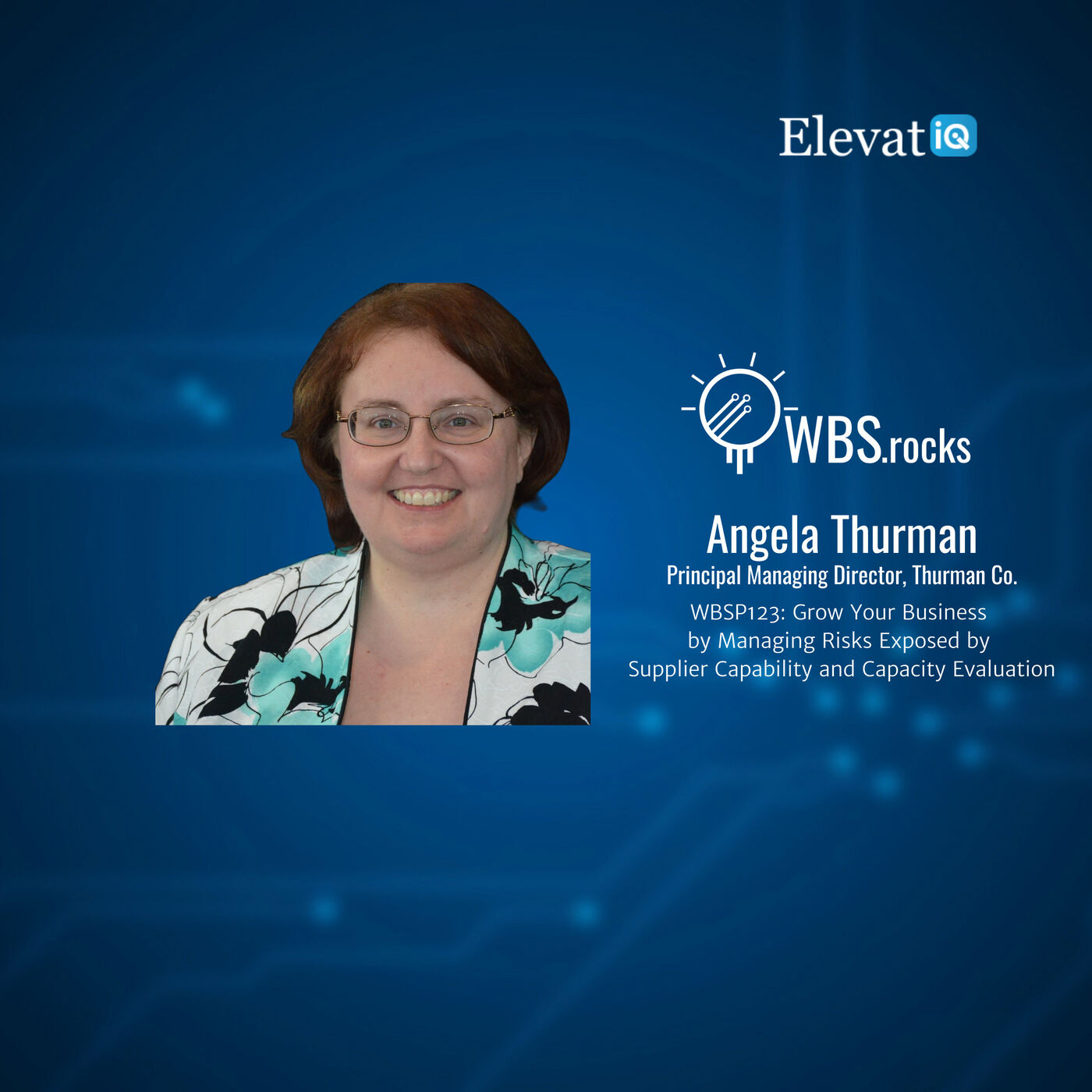 WBSP123: Grow Your Business by Managing Risks Exposed by Supplier Capability and Capacity Evaluation w/ Angela Thurman