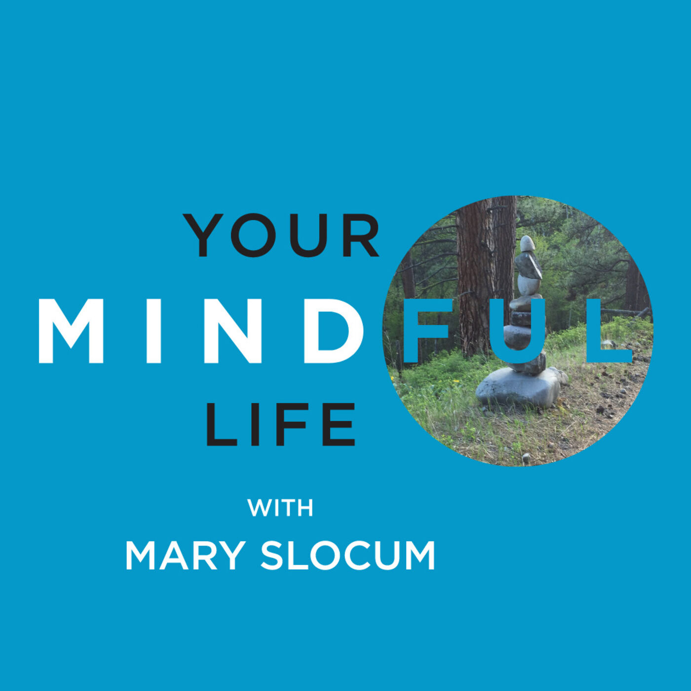 Your Mindful Life