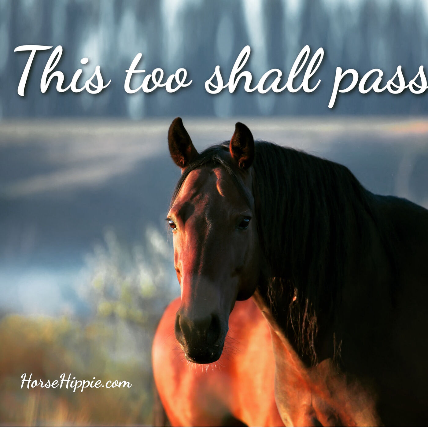 This Too Shall Pass