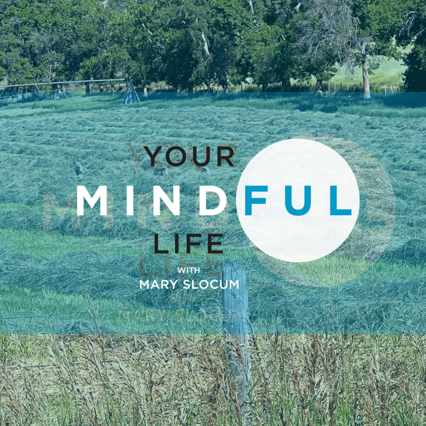 Your Mindful Life