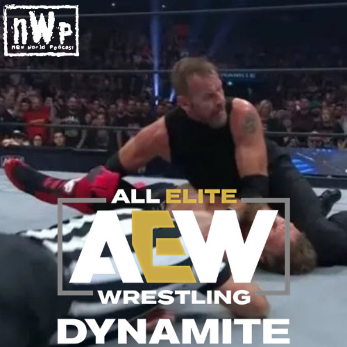 nWp: Dynamite (12/6/2023)