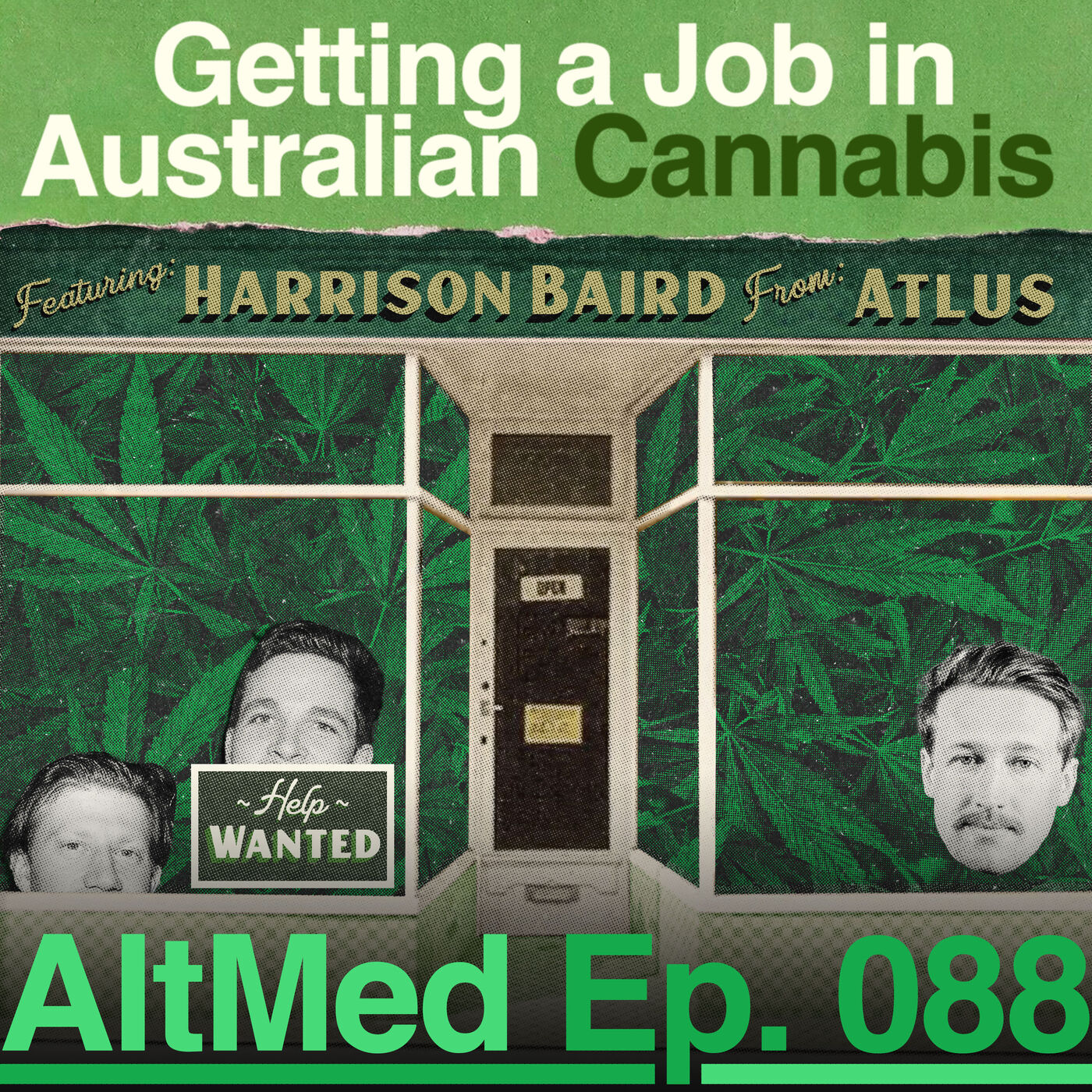 AltMed: Cannabis and Alternative Medicine Podcast