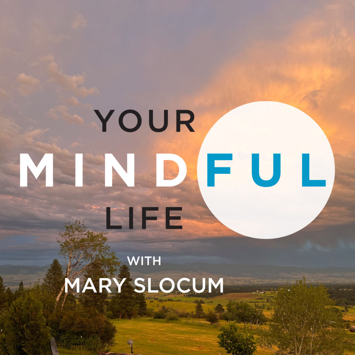 Your Mindful Life