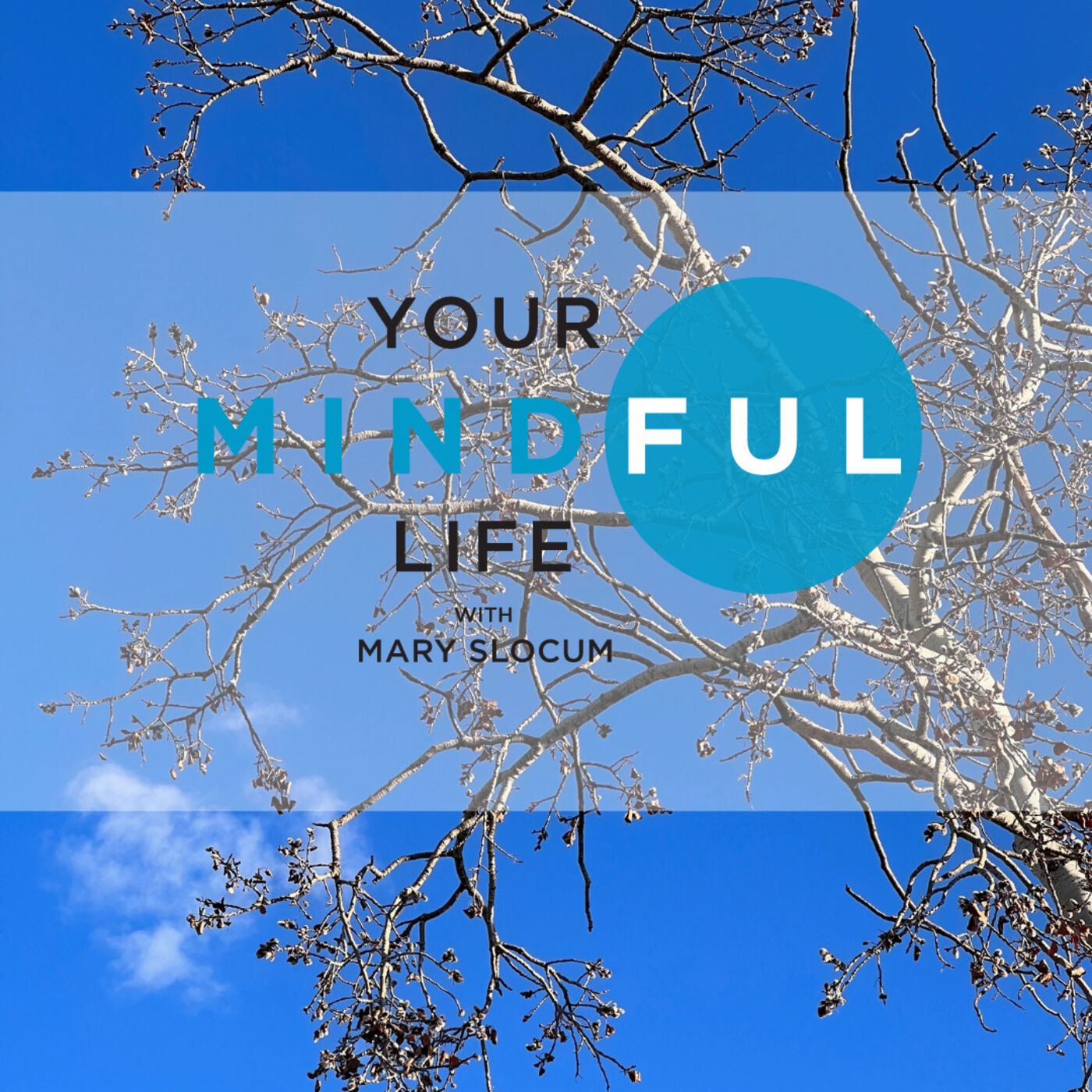 Your Mindful Life