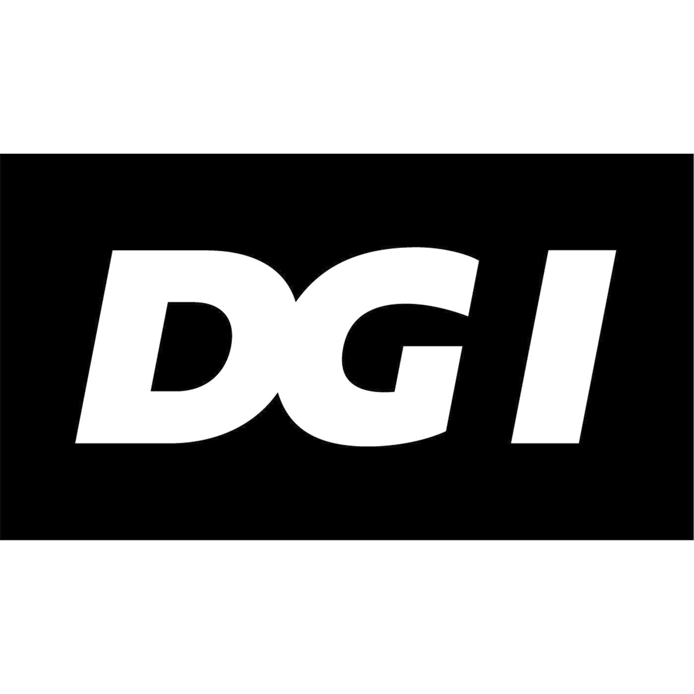 DGI: Sådan får I flygtninge og indvandrere med i foreningen