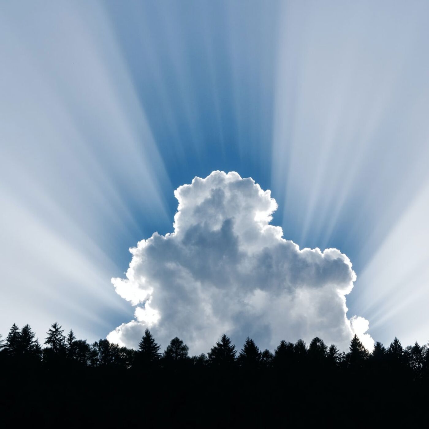 Hidden Investment Opportunities