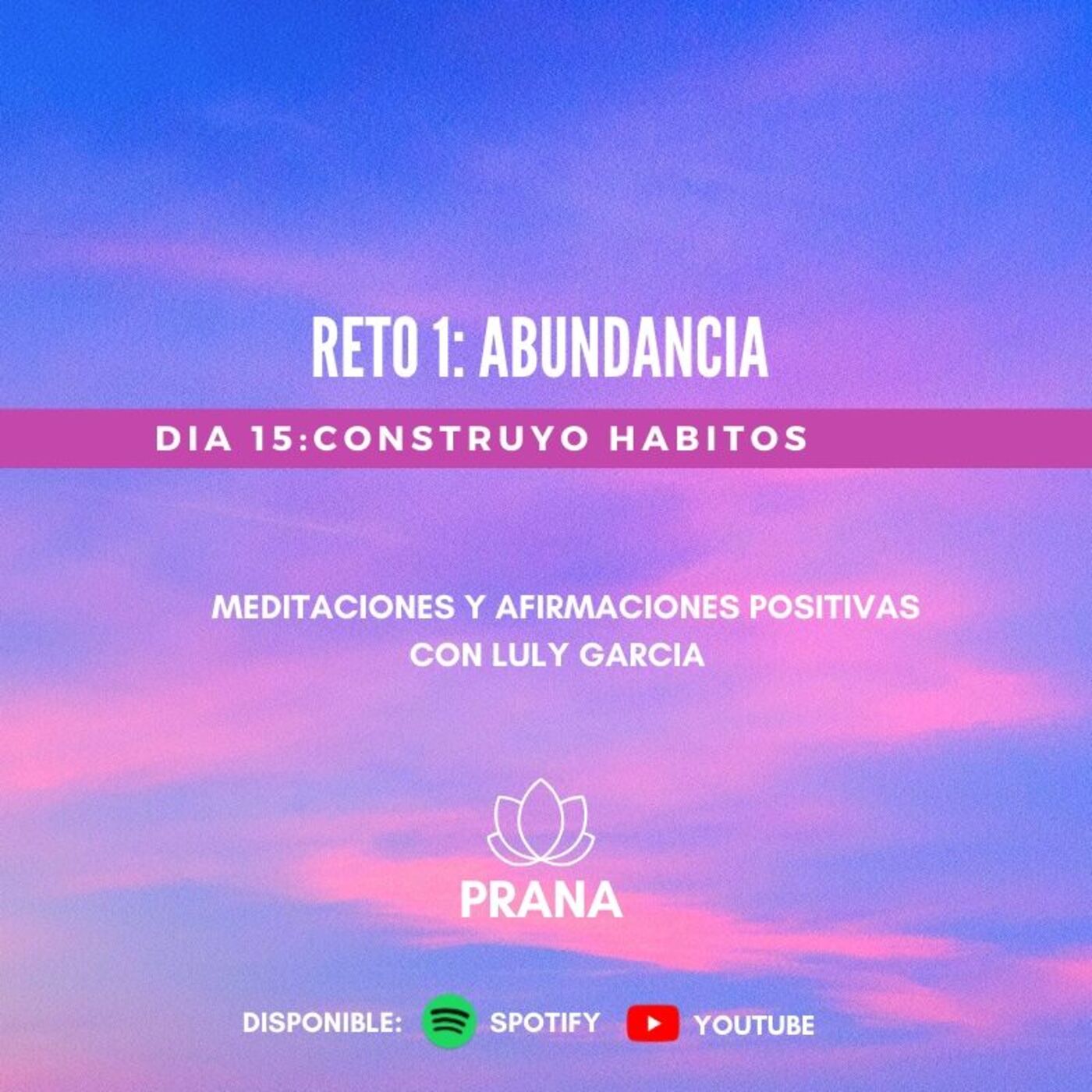 PRANA. Meditaciones con Luly Garcia