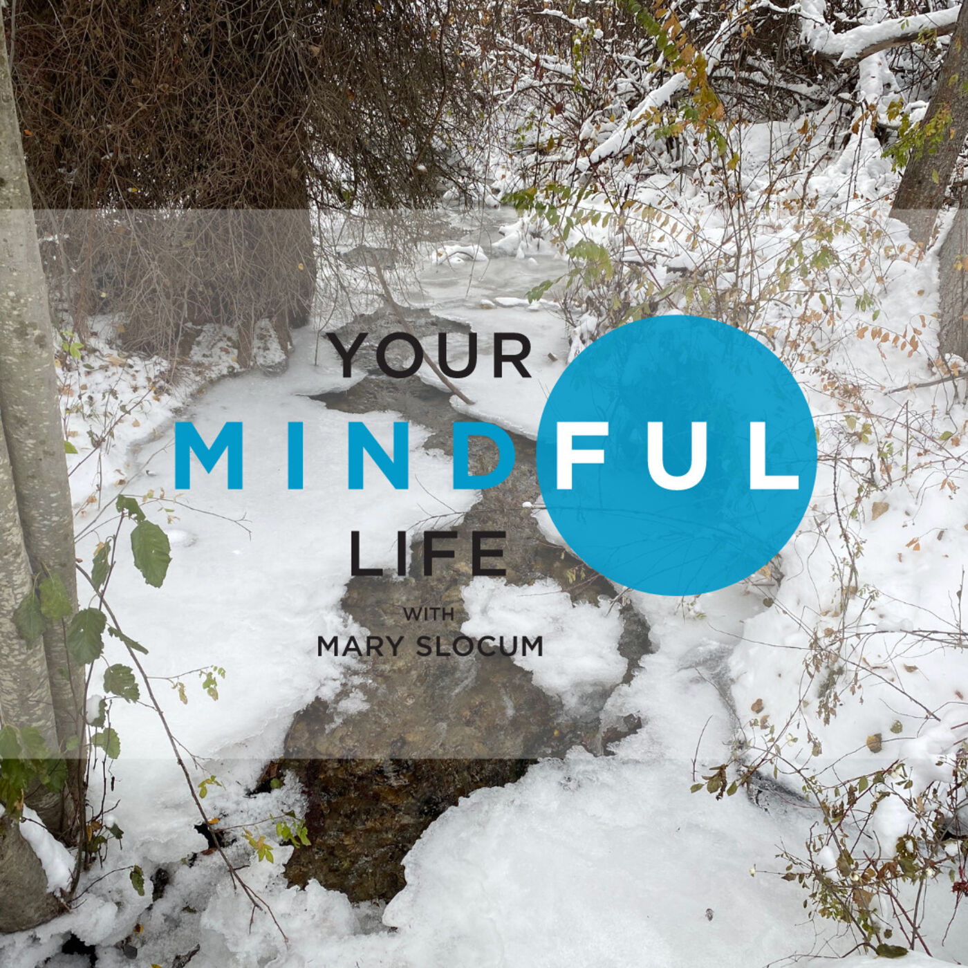 Your Mindful Life