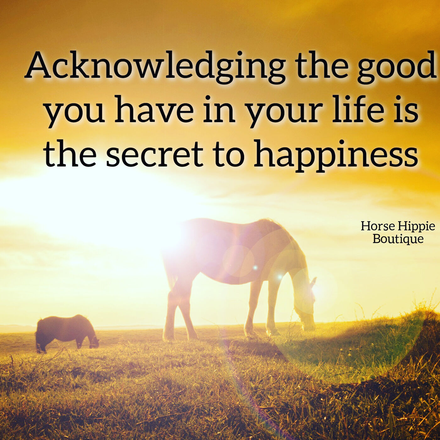 Grateful for the Good