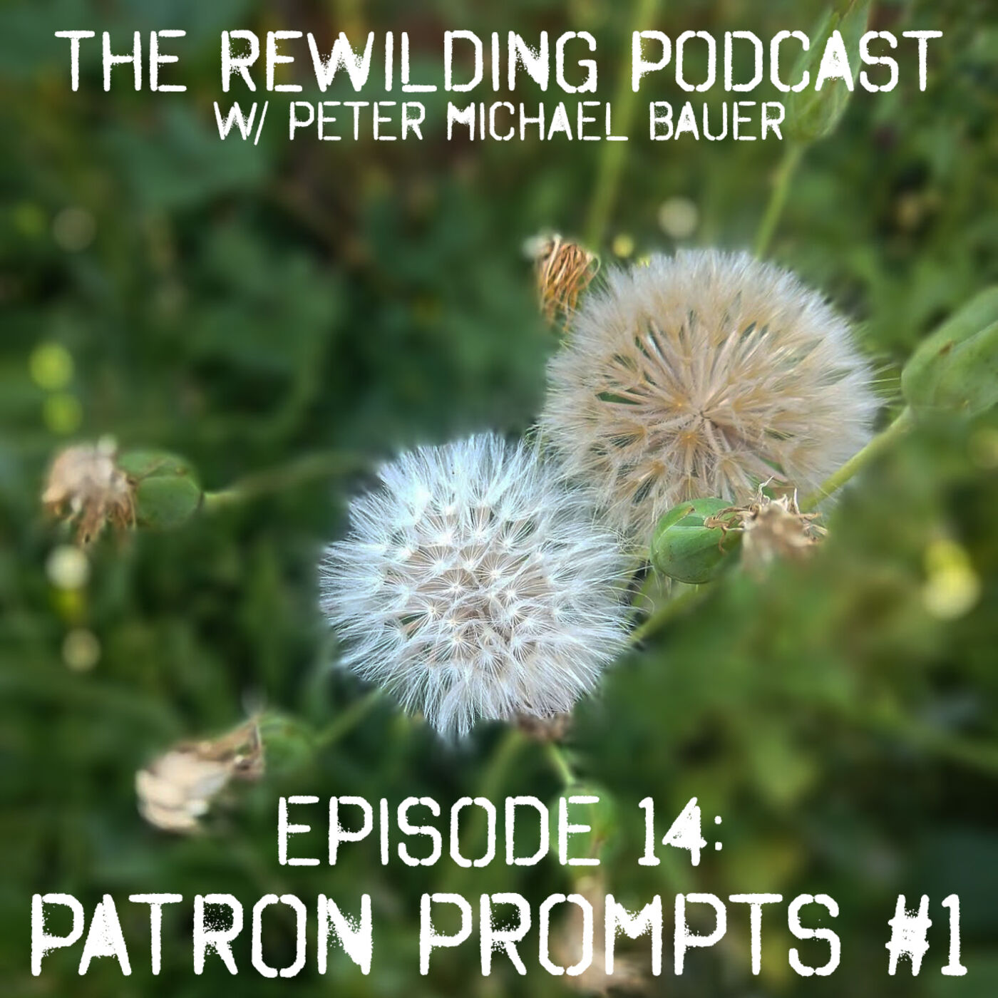 The Rewilding Podcast w/ Peter Michael Bauer