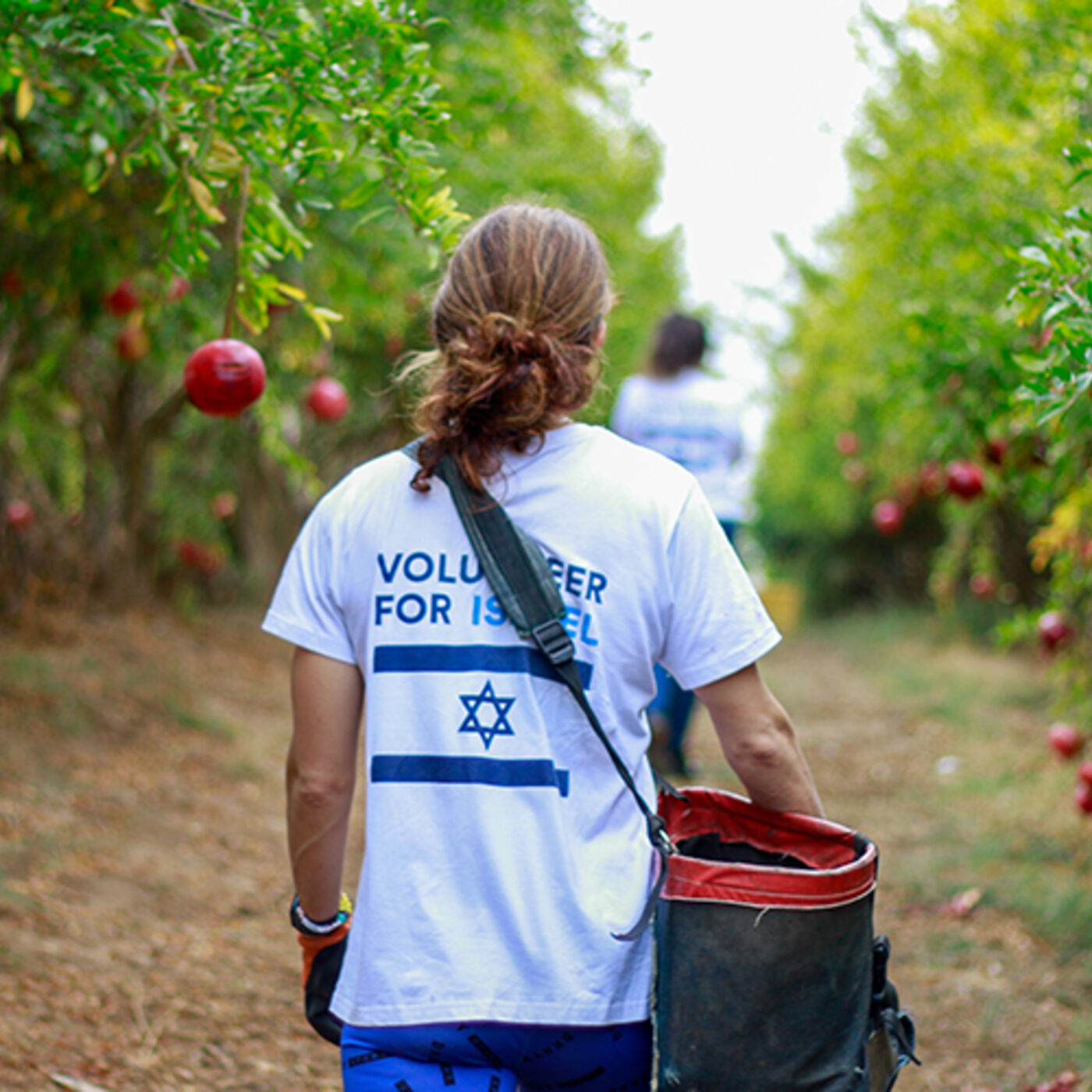 Episode 1478 - Been wanting to help Israel? Me too!