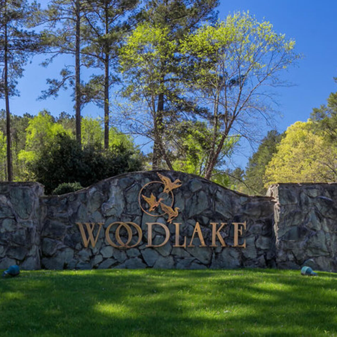 Body Mind Soul and Live Healthy Longer