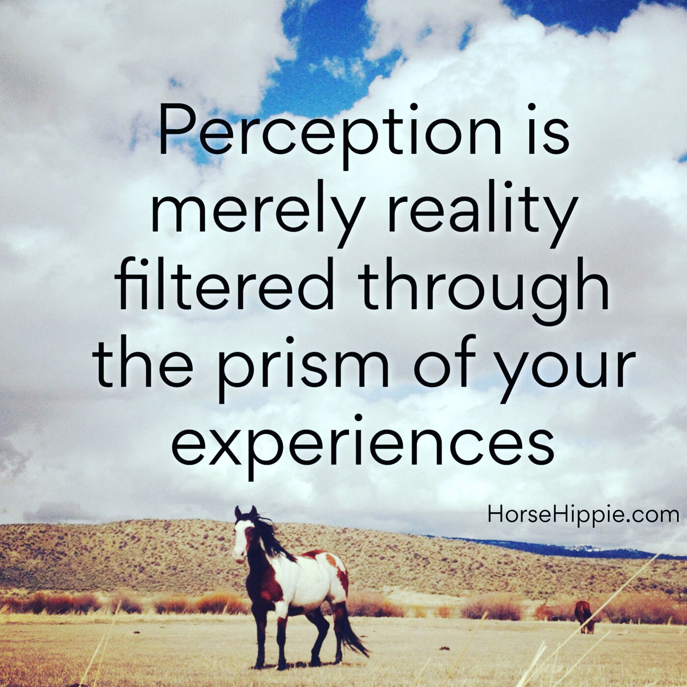 Perception