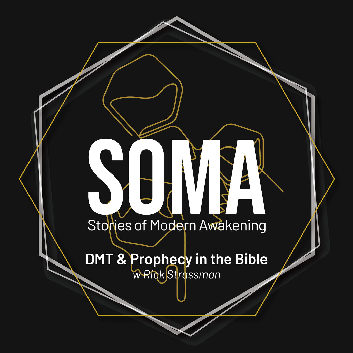 SOMA - Stories of Modern Awakening