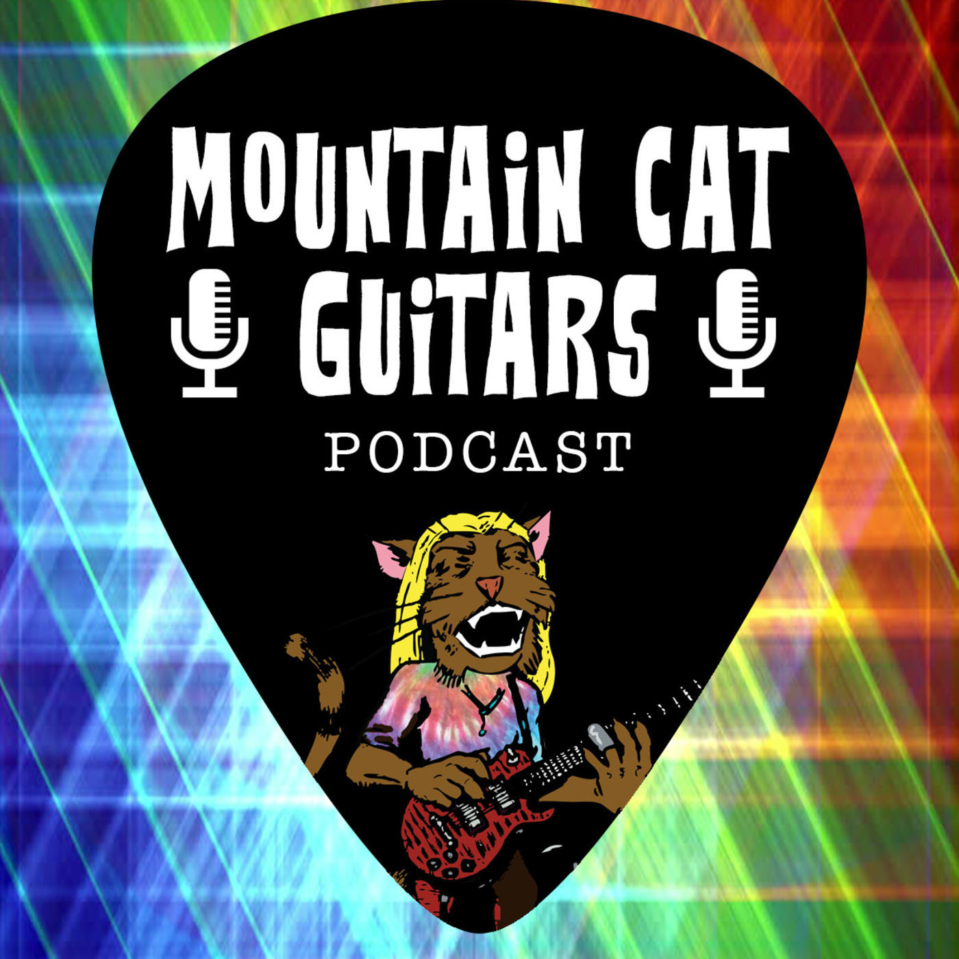 Mountain Cat Guitars Podcast Episode 10 with Eric Cocco from La Bella strings