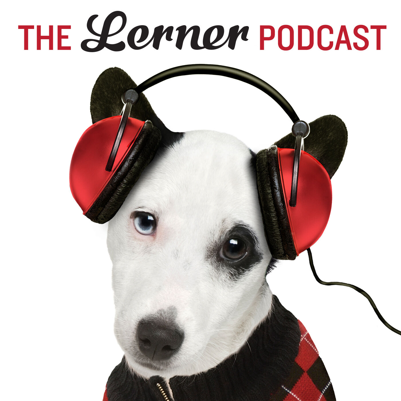 The Lerner Podcast podcast show image