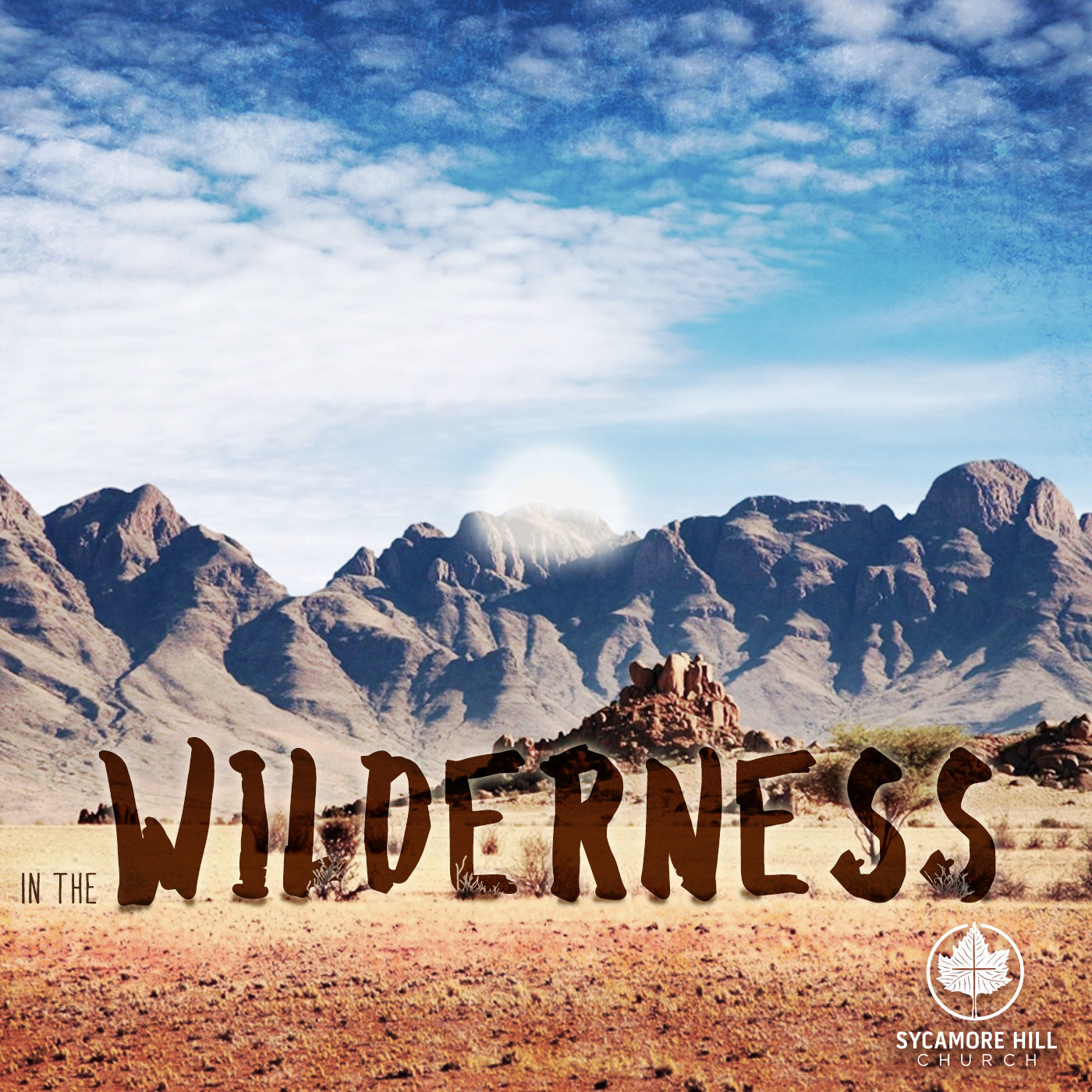 In the Wilderness: Striking Out (Numbers 20)