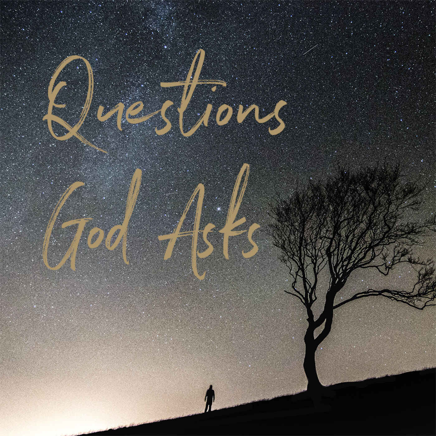 Questions God Asks: "Can These Dry Bones Live?"