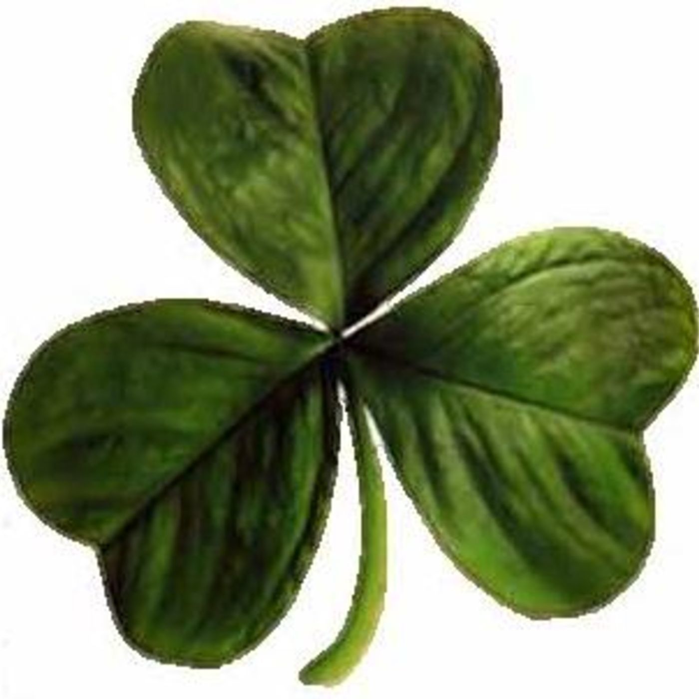 Windy City Irish Radio