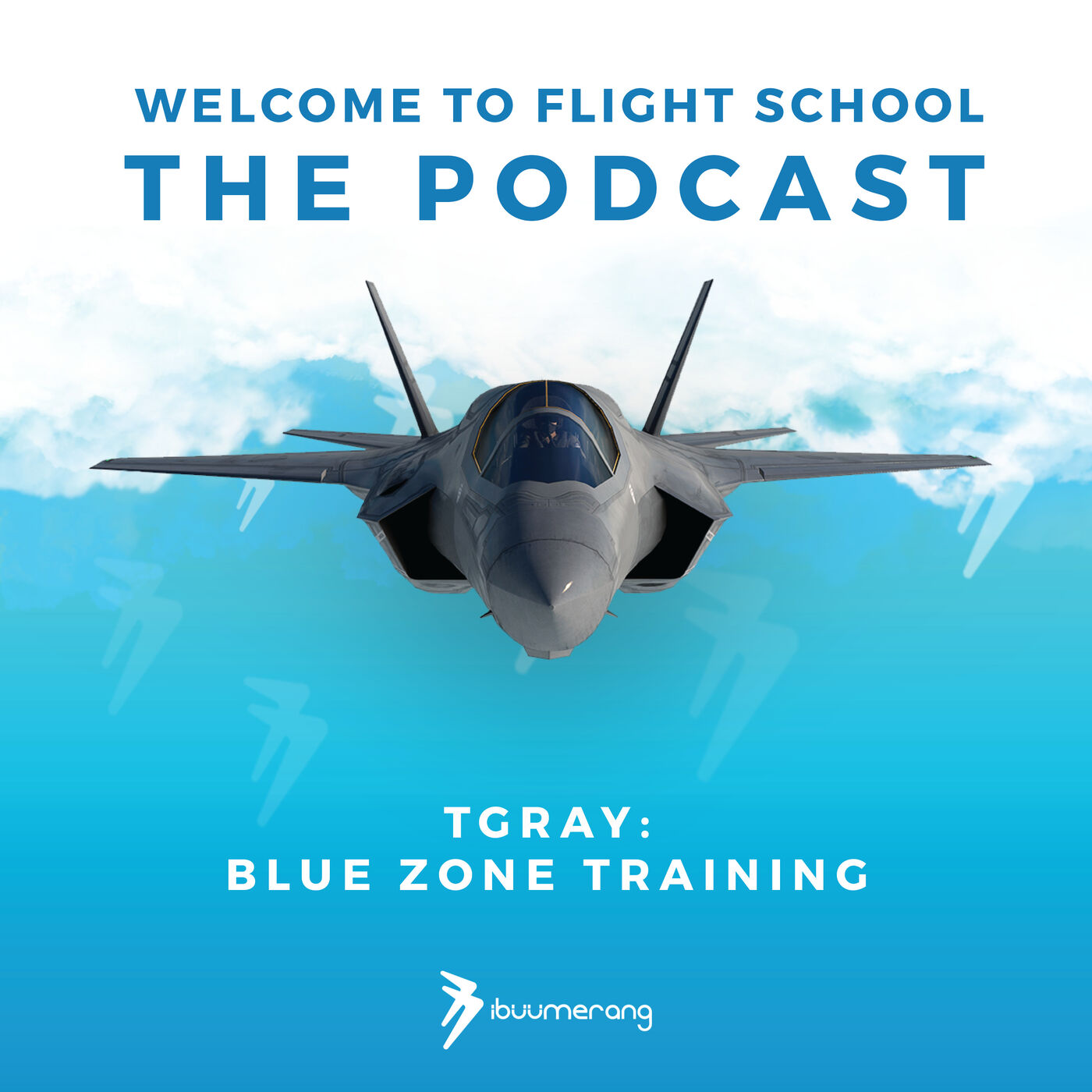 Blue Zone Training with TGray