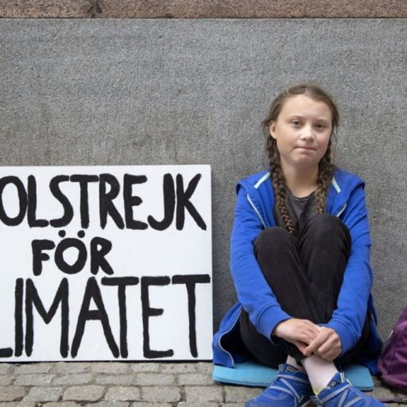 SCHOOL STRIKE FOR CLIMATE THIS FRIDAY!