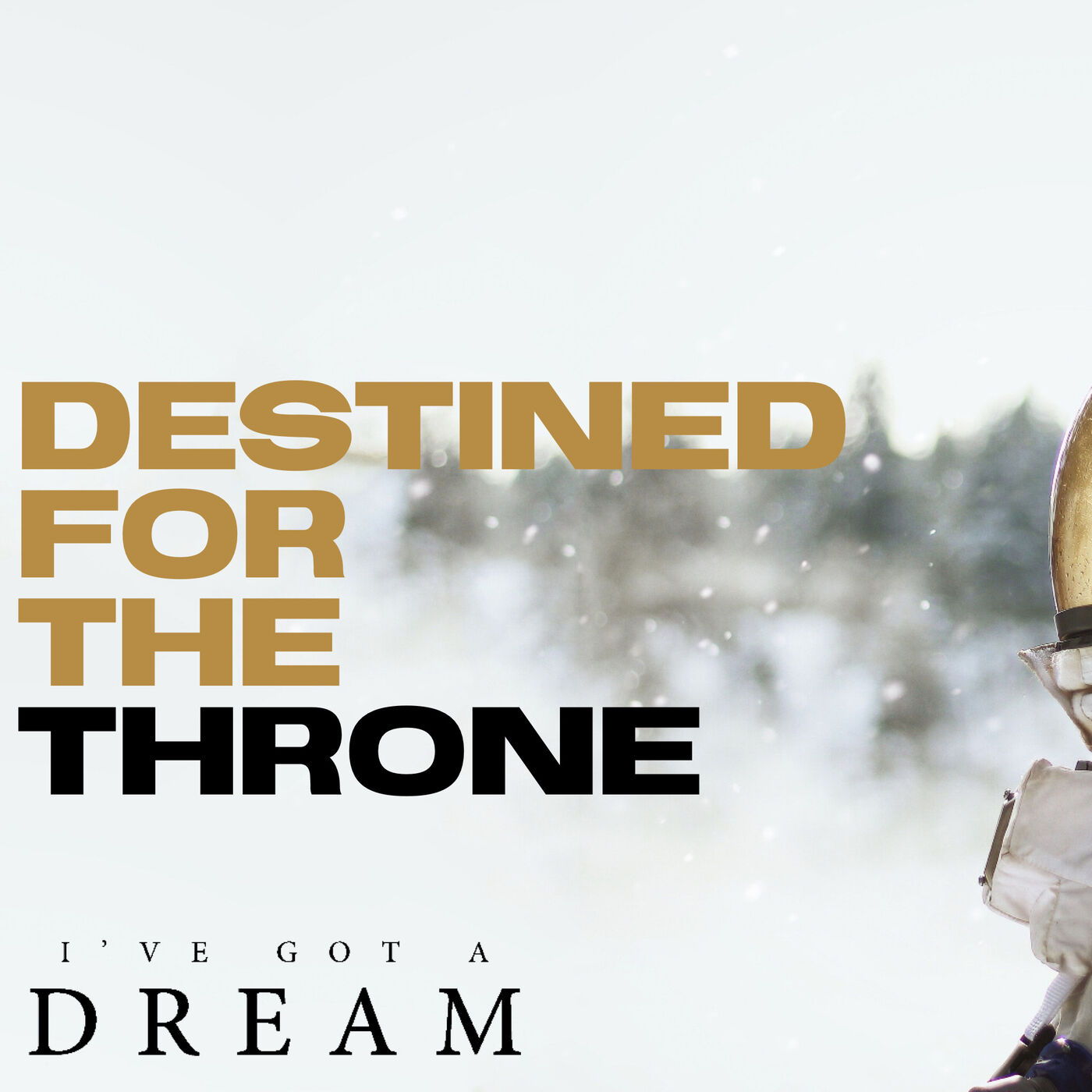 Destined For The Throne pt. 2
