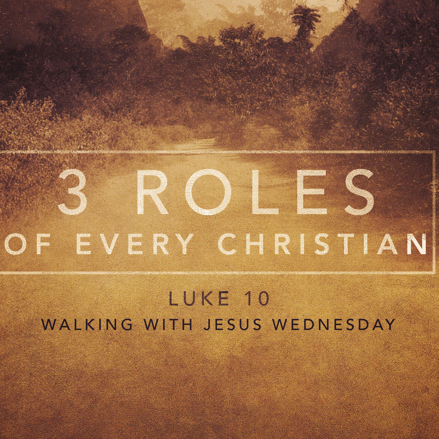 Walking with Jesus: Part 11- 3 Roles of Every Christian