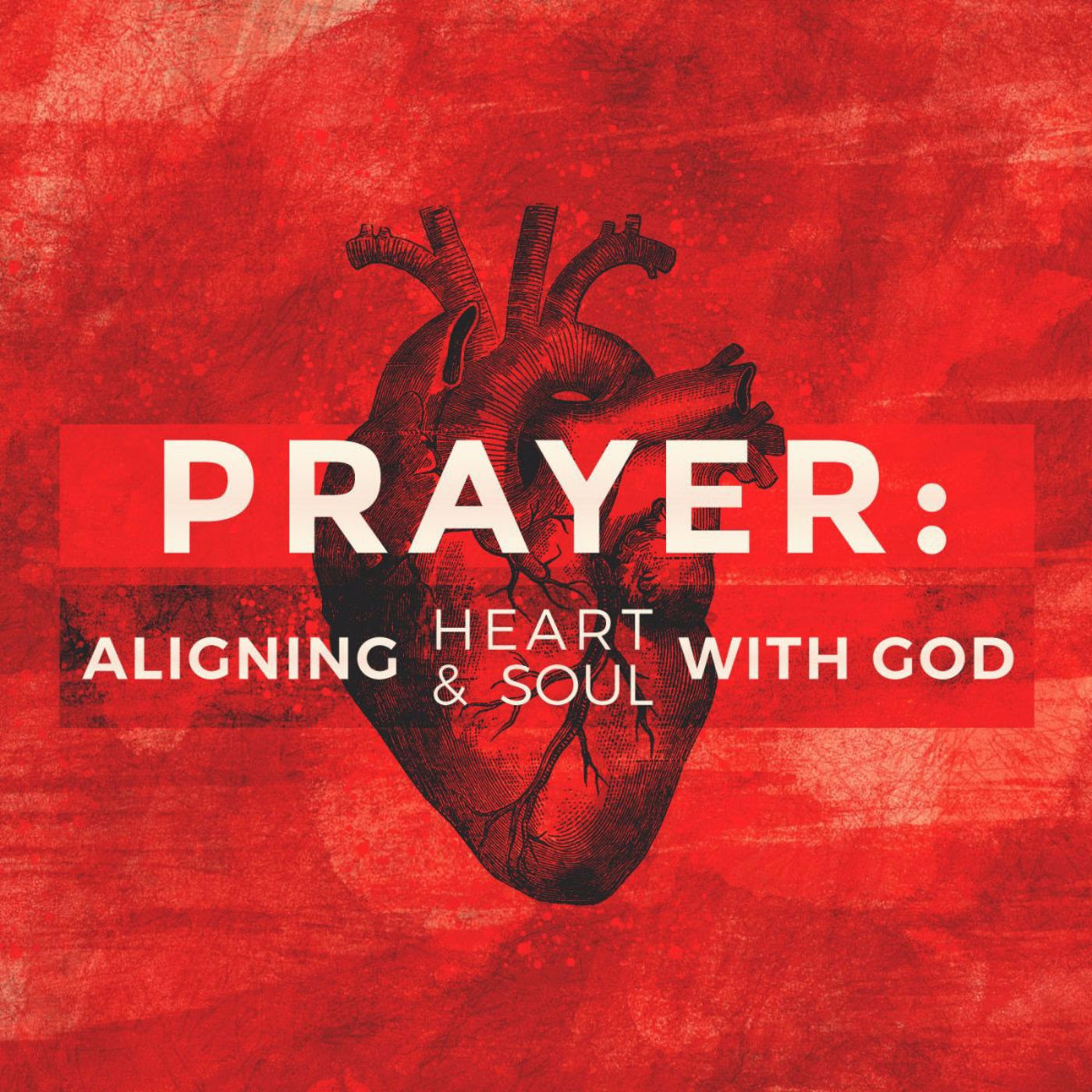 Prayer: Disciples Pray Like This (Matthew 6:5-13)