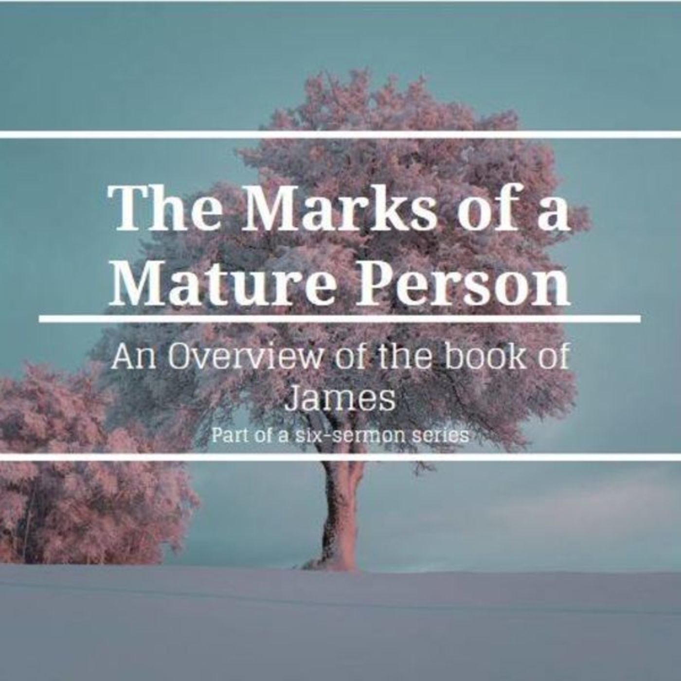 The Marks of a Mature Person (Introduction to the Book of James - Part 1)