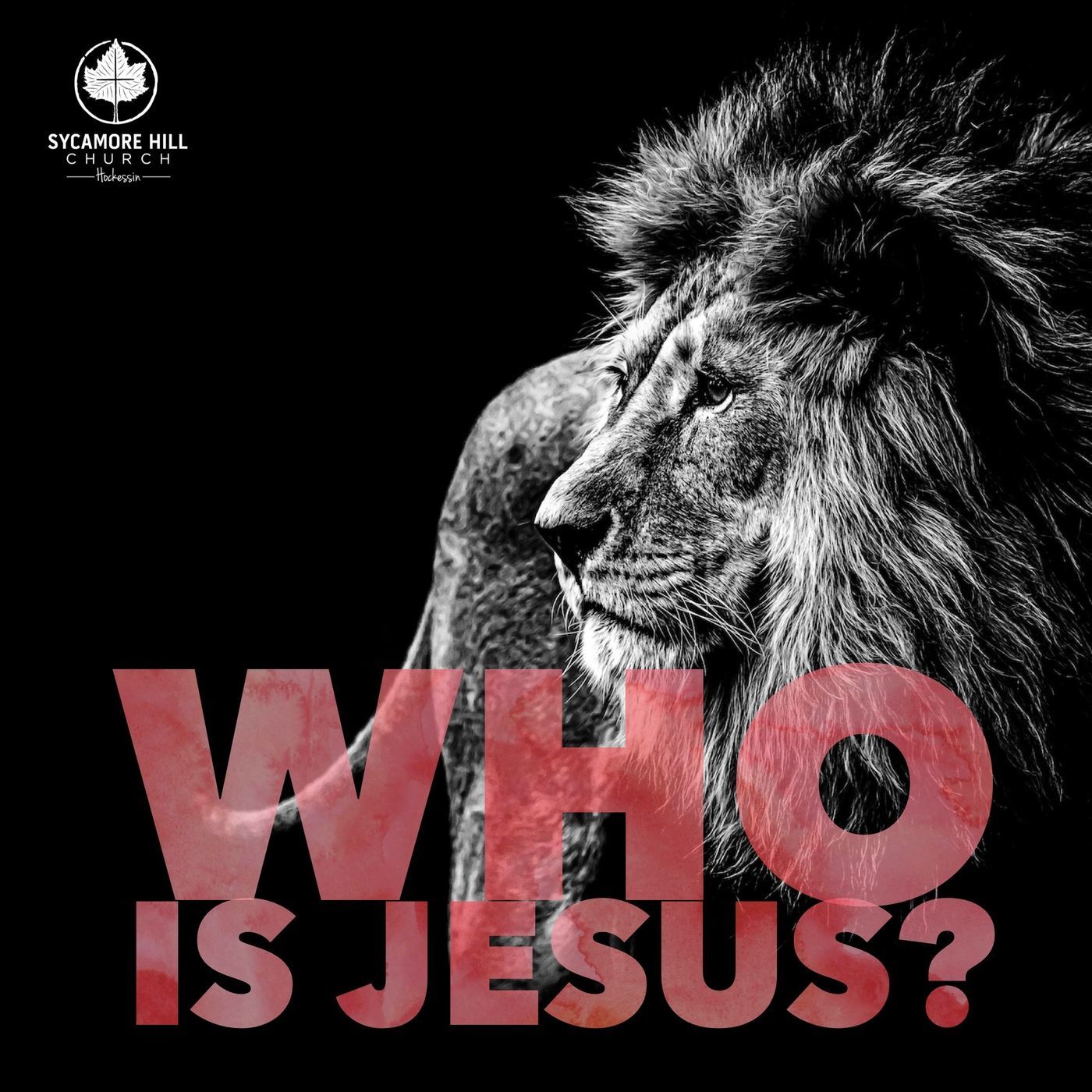 Who is Jesus: Shepherd King (Psalm 95)