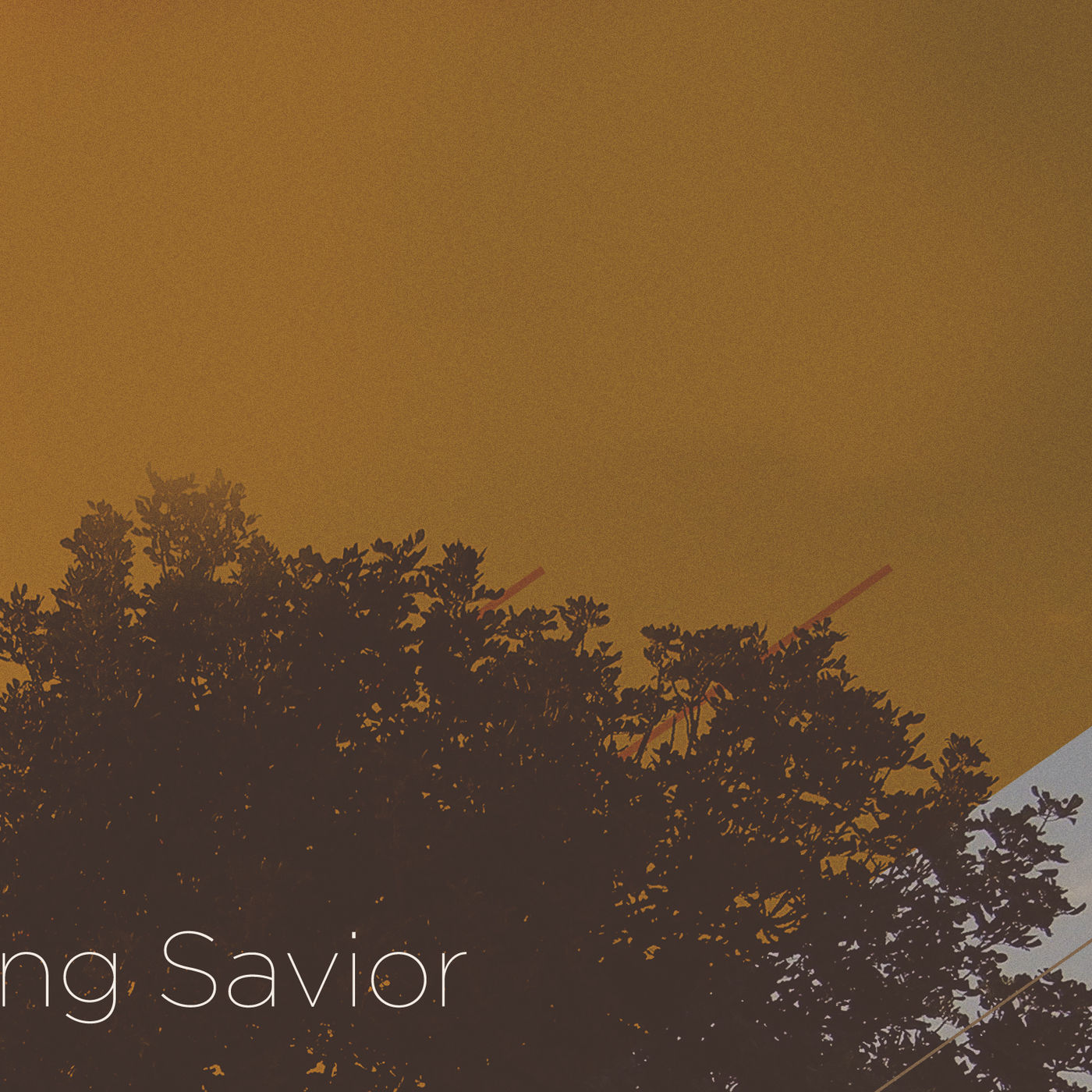 Walking With Jesus: Part 18- A Seeking Savior
