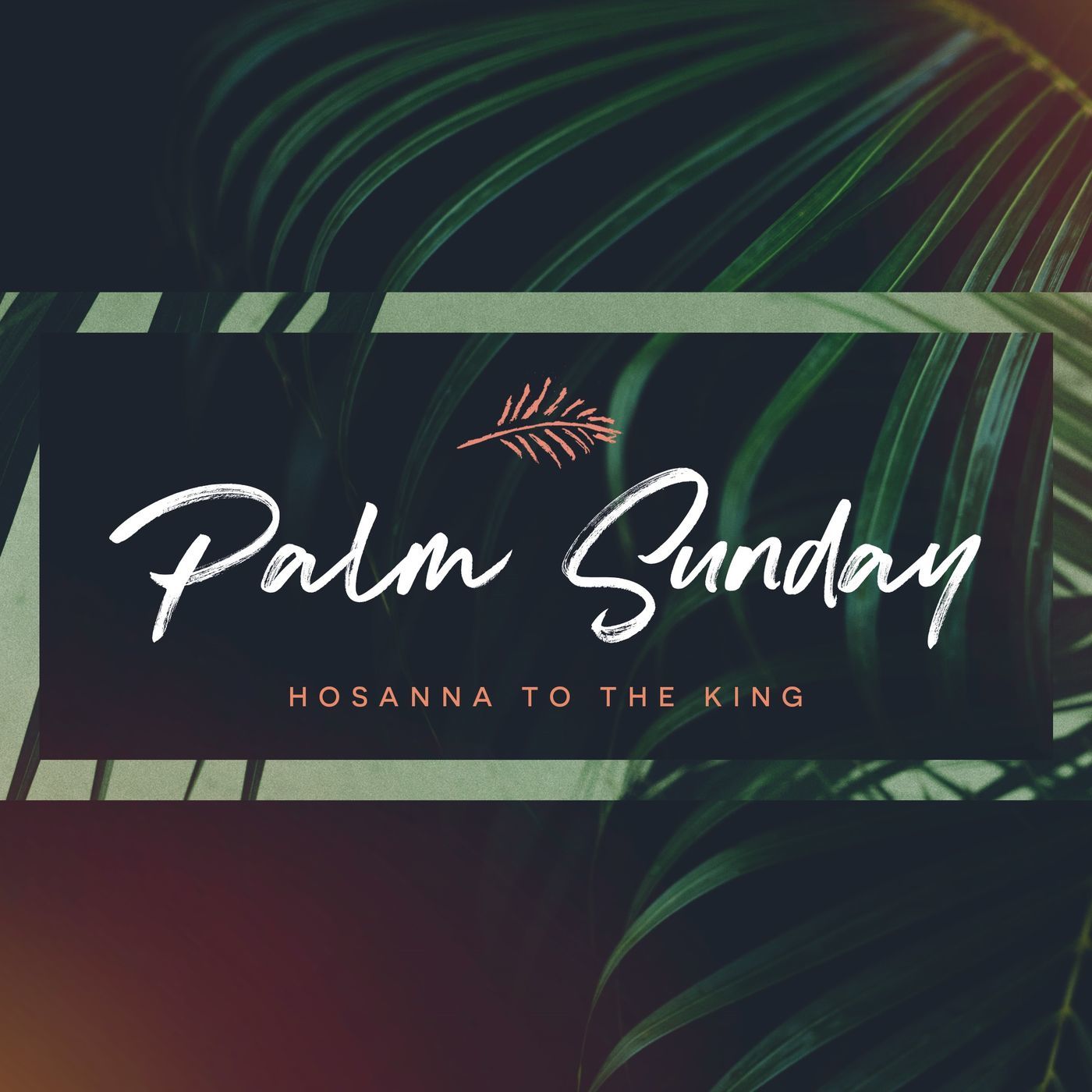 Palm Sunday 2018: Why Judas? (Matthew 26:14-56)