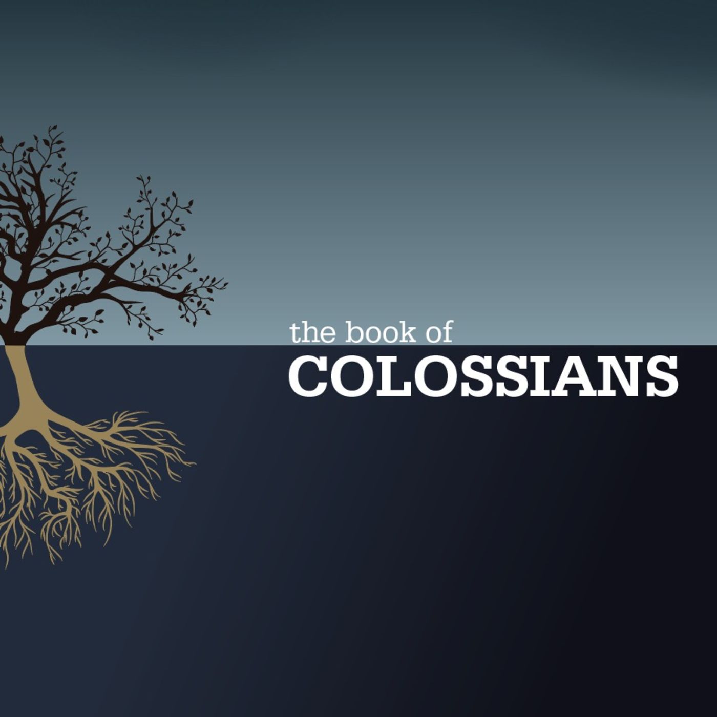 Nov 11, 2018 Fullness Of Christ