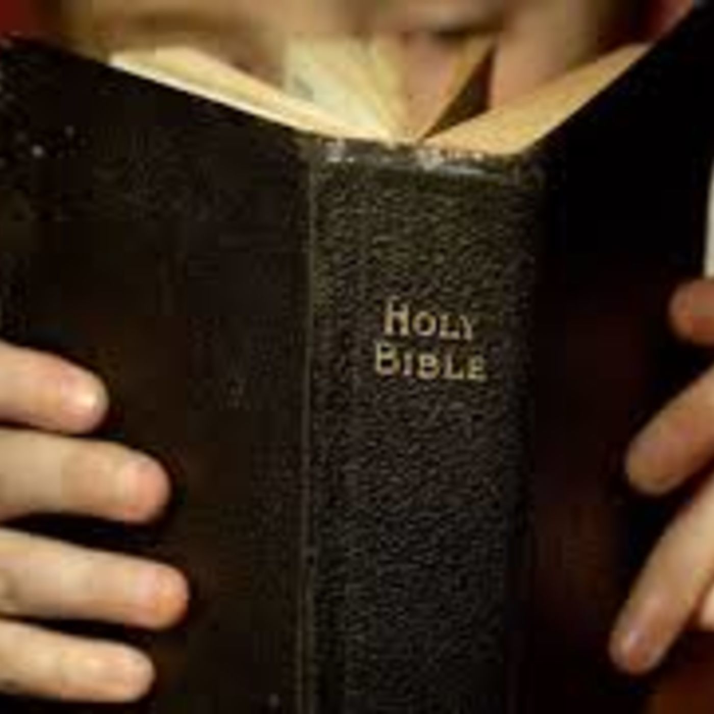 How to Get More From Your Bible: What Every Christian Needs to Grow