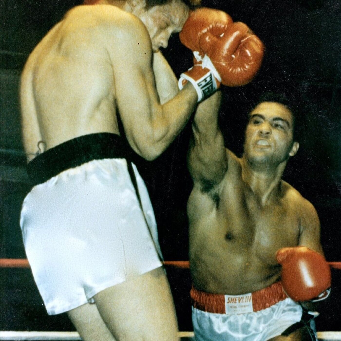 JD TALKIN SPORTS #1322