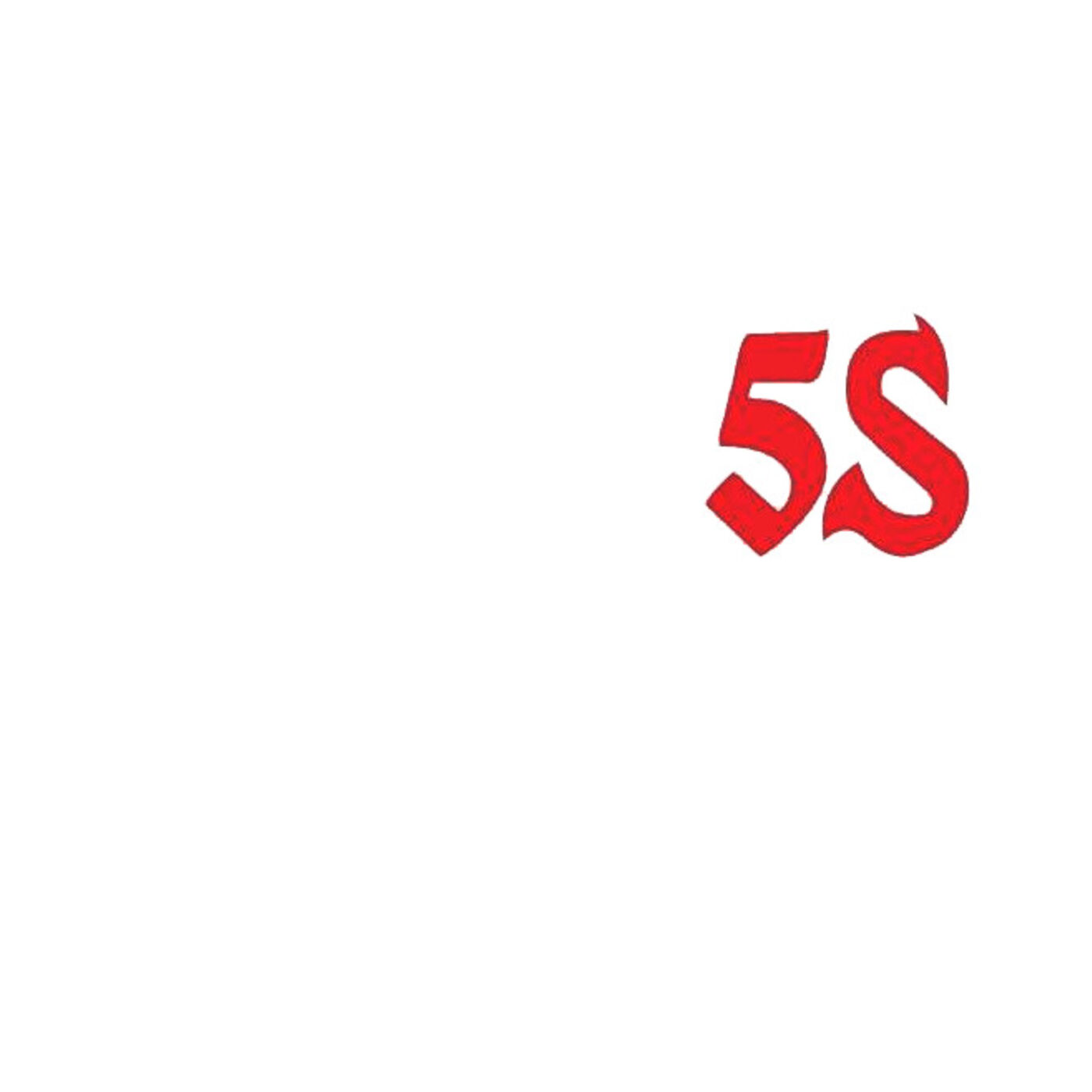 Visa5s