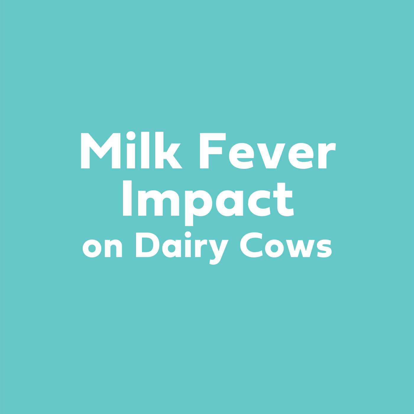 Milk Fever Impact on Dairy Cows Dr Barry Bradford PhD Animal Health