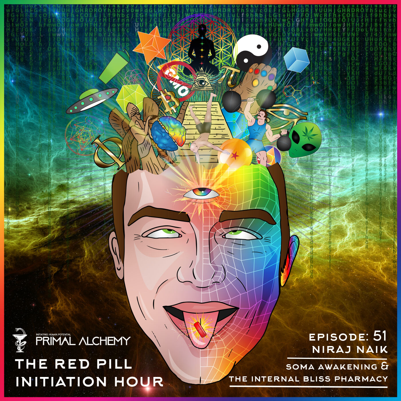 Ep 51 - Niraj Naik - Soma Awakening & The Internal Bliss Pharmacy