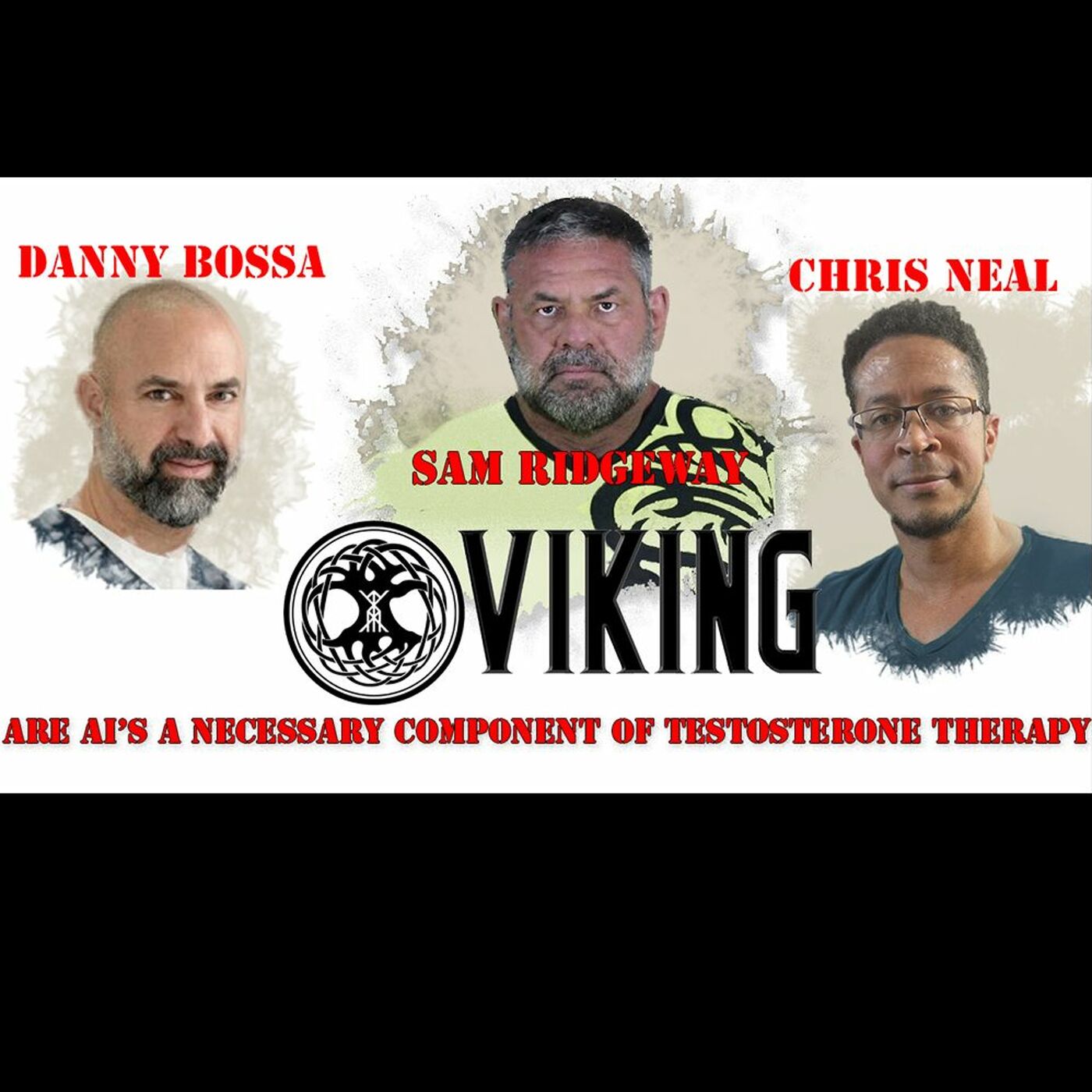 Viking Alternative