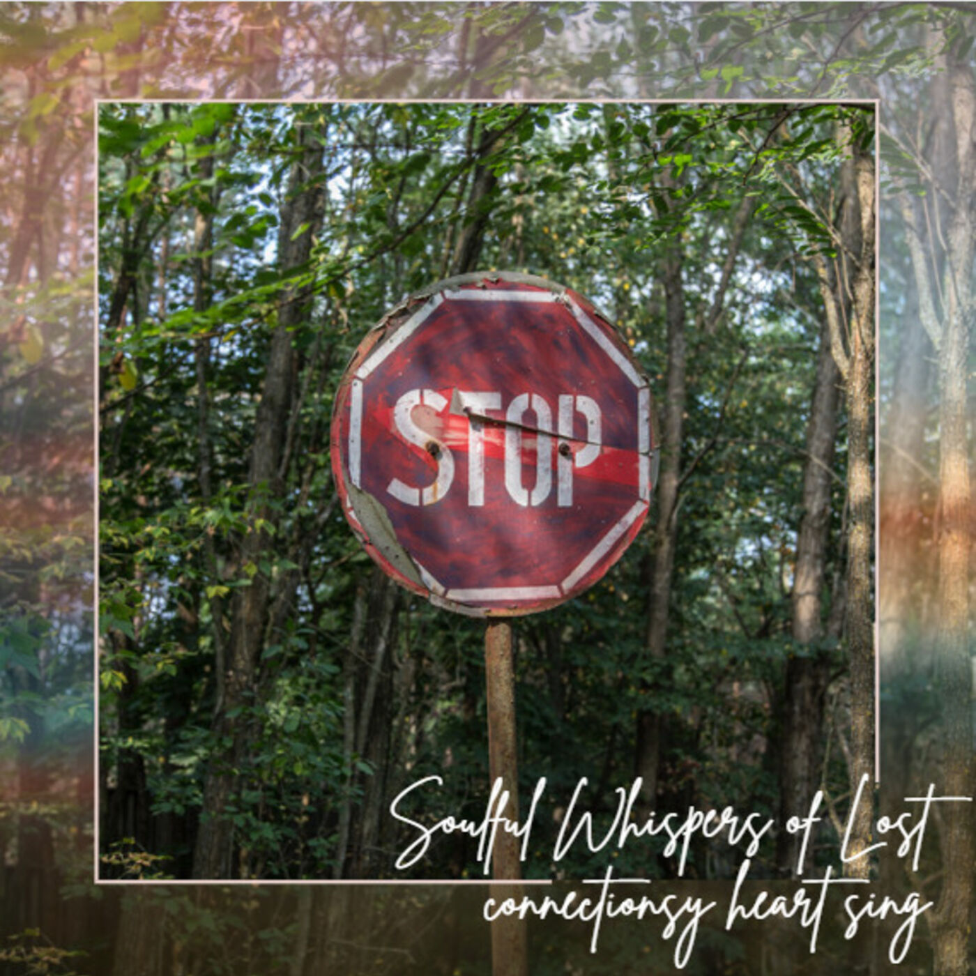 Nurturing Relationships podcast artwork
