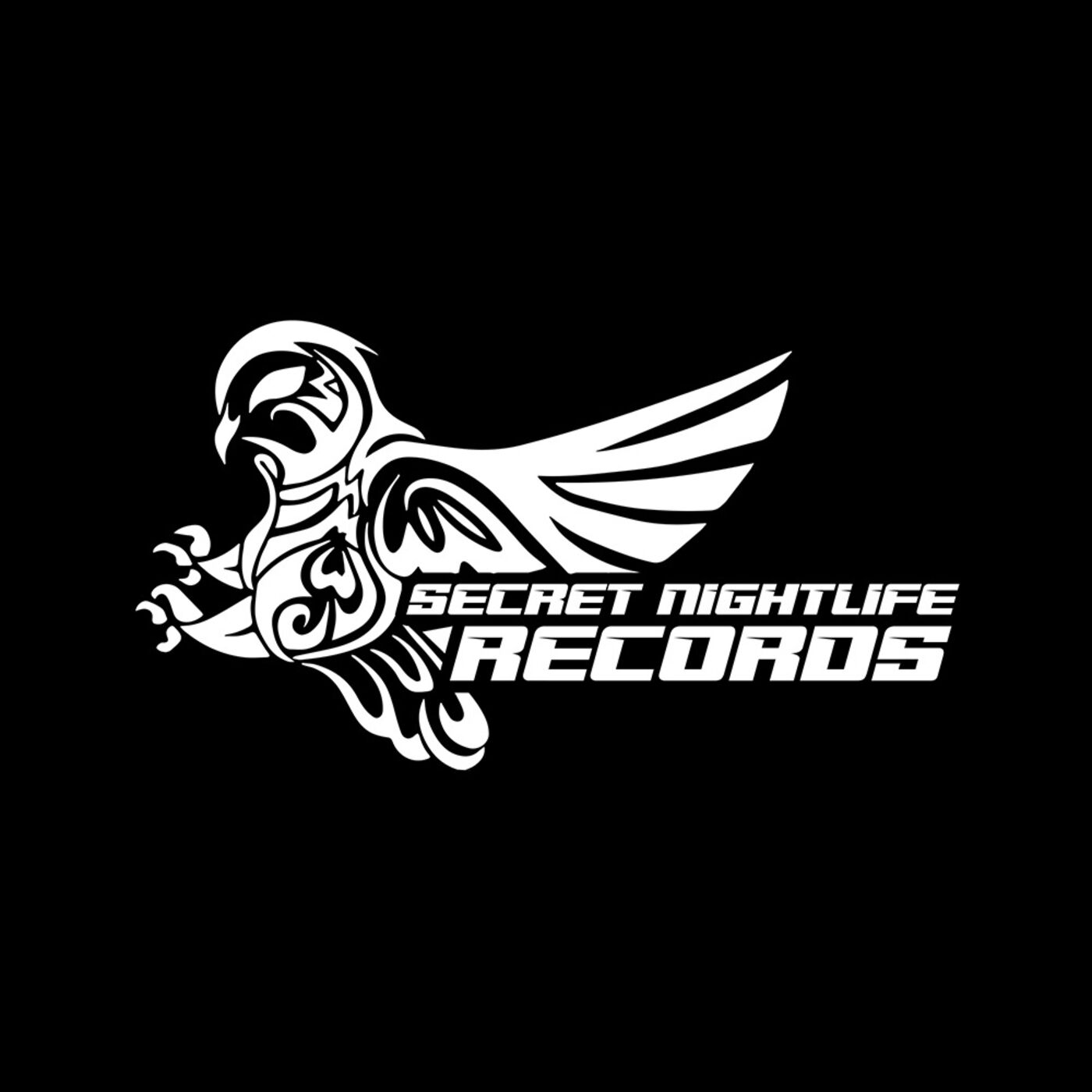 Secret Nightlife Records - Mix of the Month