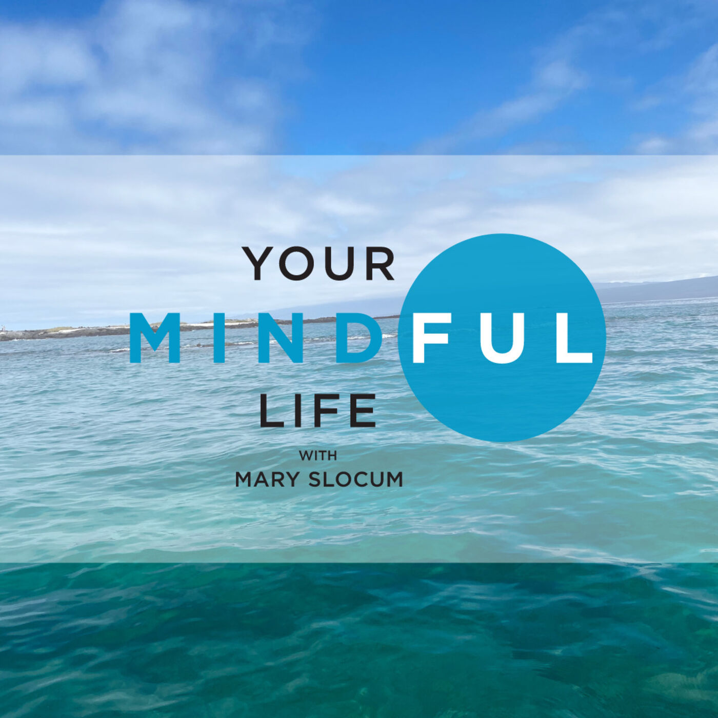 Your Mindful Life
