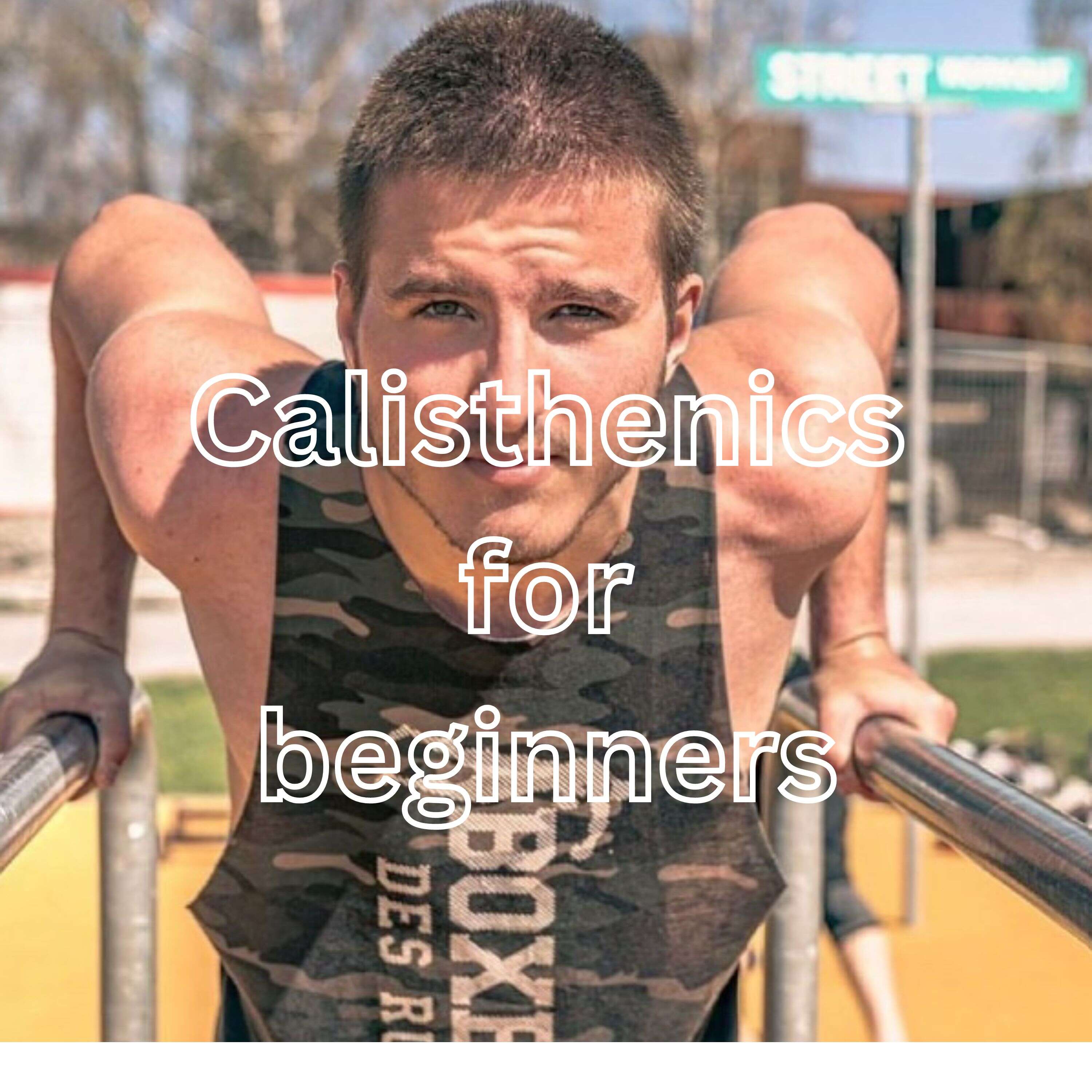 Calisthenics for beginners