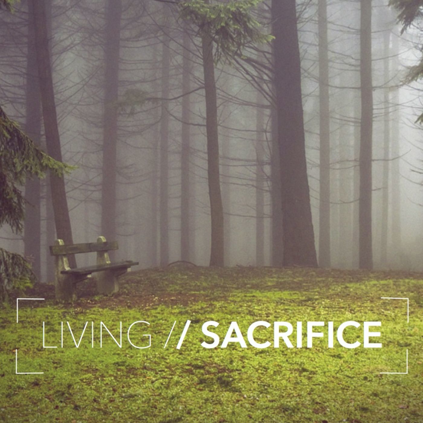 Living Sacrifice: Exceptional (Romans 15:5-13)
