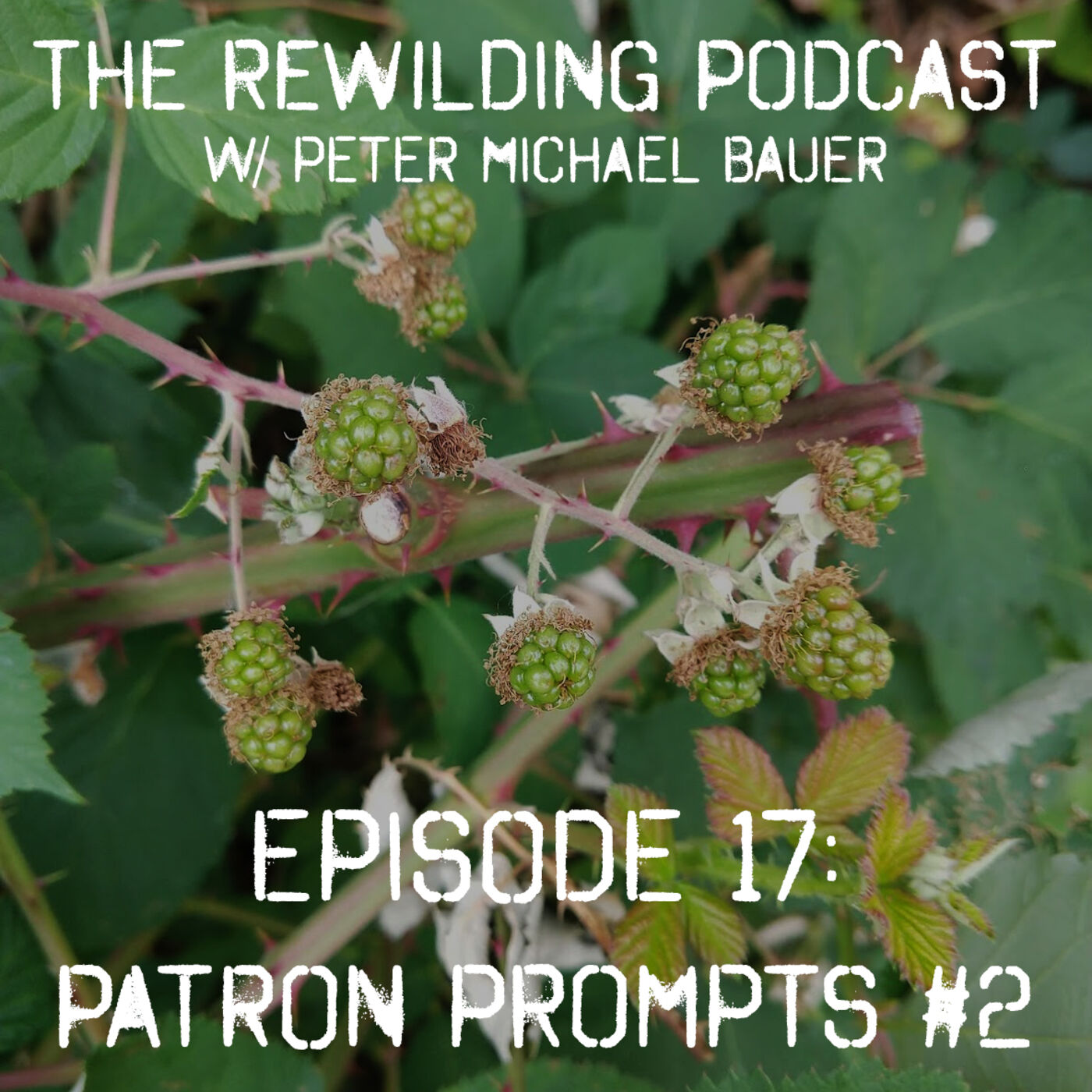 The Rewilding Podcast w/ Peter Michael Bauer