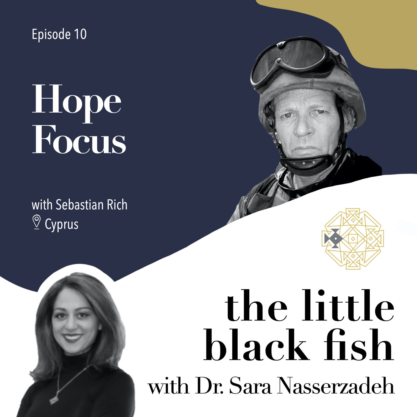 the little black fish