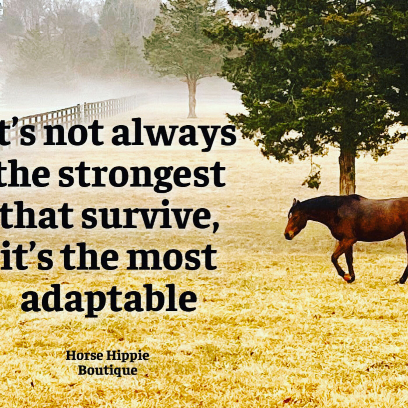 Adaptable