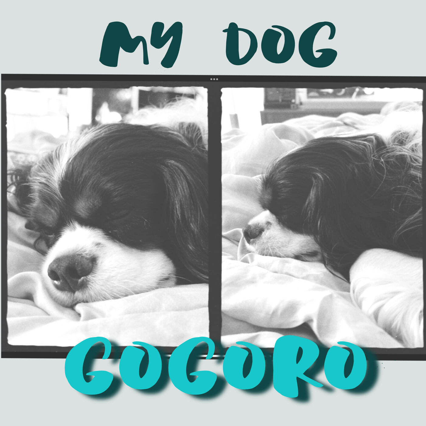 My Dog Gogoro cover art